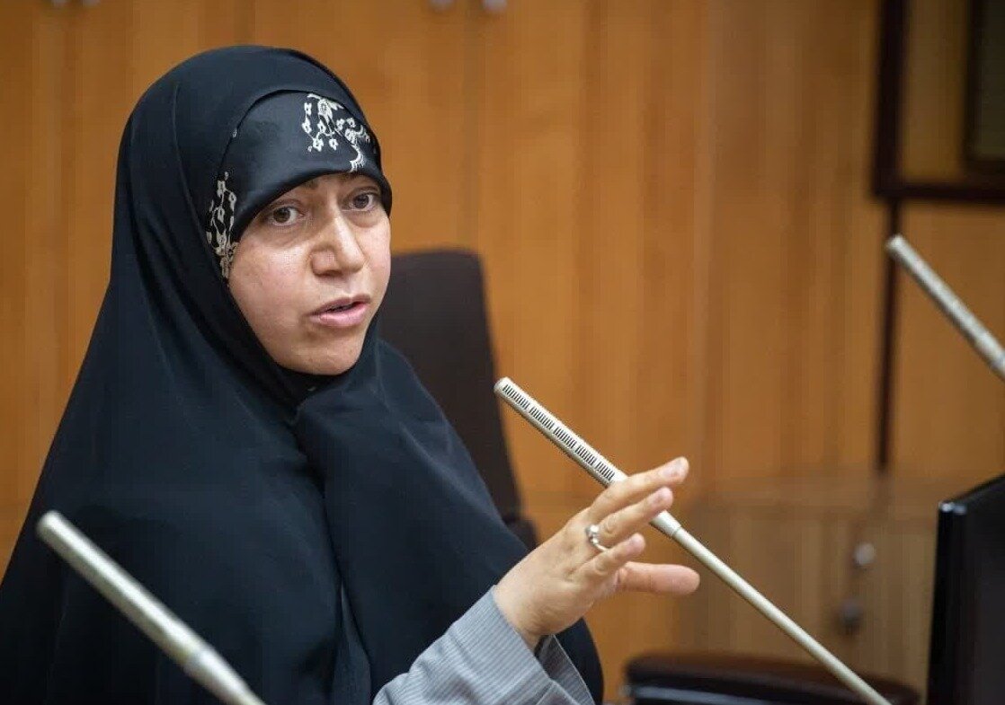 محمدبیگی: کمیسیون بهداشت به گرانی دارو و توزیع نامتوازن ارز ورود کرد