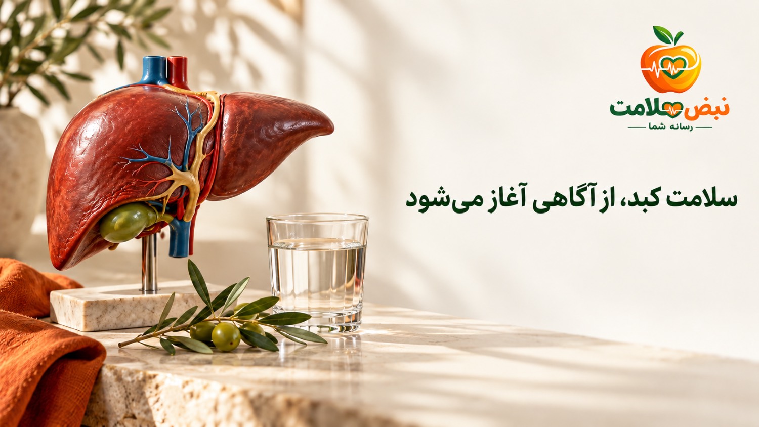 سلامت کبد، از آگاهی آغاز میشود؛ درباره هپاتیت چه بدانیم؟