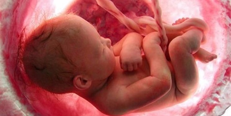 هشدار وزارت بهداشت درباره سقط غیرقانونی؛ از لغو پروانه و تعطیلی مطب تا ارجاع به قوه قضاییه